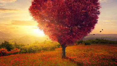 Sesli Sohbet Siteleri